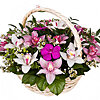 Basket of orchids "Cloud" - small picture 2