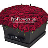 101 красная роза в коробке "Незабываемой!" - меленькое изображение 2