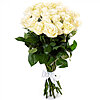 25 white meter roses - small picture 1