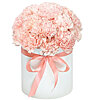 Composition in a box of carnations "San Marino" - small picture 1