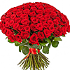 151 red roses - small picture 1
