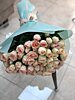 Букет піоноподібних троянд "Нескінченність" - маленьке зображення 3