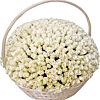 Basket of 501 white roses - small picture 1