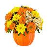 Bouquet "Mysterious pumpkin" - small picture 1