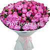 101 pink peony - small picture 1