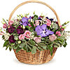 Basket of flowers "Colorful gift" - small picture 1