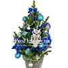 Christmas tree "Blue hoarfrost" - small picture 1