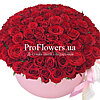 101 червона троянда в коробці "Ніжність" - маленьке зображення 1