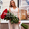 25 gorgeous imported roses (1 meter) - small picture 1