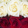 Rose bouquet "Heart for the Queen" - small picture 3