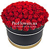 101 червона троянда в коробці "Love is" - маленьке зображення 1
