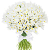 25 white irises - small picture 1