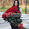 Bouquet of 75 imported roses - small picture 1