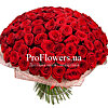 101 red roses - small picture 1