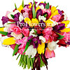  Bouquet of 151 multi-colored tulips - small picture 1