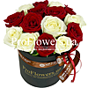 Mix of 15 "Adele" roses - small picture 1