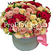 Коробка из кустовых  роз "Цветные аккорды" - меленькое изображение 1
