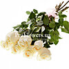7 white roses - small picture 1