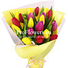 21 різнокольоровий тюльпан - маленьке зображення 1