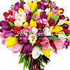 Bouquet "101 multicolored tulip" - small picture 1