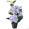  Potted hydrangea - small picture 1