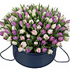 101 тюльпан "Фіолетова димка" - маленьке зображення 1