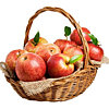 Basket with apples "Autumn Harvest" - small picture 1