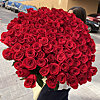101 импортная метровая роза "Фридом" - меленькое изображение 1