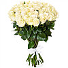  51 meter white rose - small picture 1