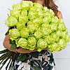 51 green roses - small picture 1