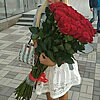 51 импортная метровая бордовая роза - меленькое изображение 2