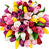 Bouquet of 35 tulips - small picture 2