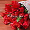 25 червоних тюльпанів "Романтика" - маленьке зображення 3