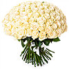 101 meter white rose - small picture 1