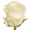 Біла метрова троянда поштучно - маленьке зображення 1