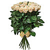 25 кремових троянд "Талея" - маленьке зображення 1