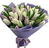 51 білий і ніжний фіолетовий тюльпан - маленьке зображення 1