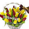 Корзина с тюльпанами "Новые чувства" - меленькое изображение 1