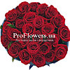 Букет з 25 троянд "Посмішка" - маленьке зображення 3