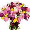 51 разноцветный тюльпан - меленькое изображение 3