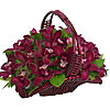 Basket with orchids "Passion" - small picture 1