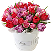 51 різнокольоровий тюльпан в коробці  - маленьке зображення 1