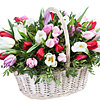 Basket of Tulips "Inspiration" - small picture 1