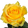 Роза желтая поштучно - меленькое изображение 1