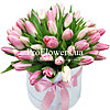 Delicate tulips in a box - small picture 1