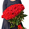 51 красная голландская роза - меленькое изображение 1