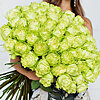 51 green roses "Lemonade" - small picture 1