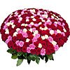 1001 разноцветная роза  - меленькое изображение 1