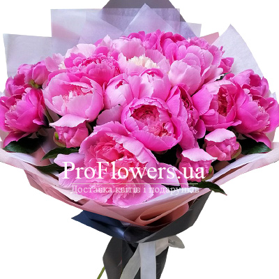 Bouquet of peonies "The most tender"