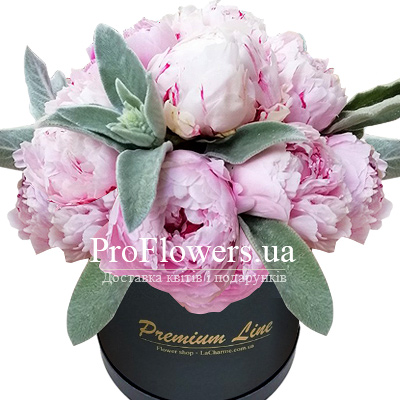 15 pink peonies in a box